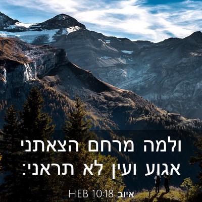Picture 03 - איוב 10:18 HEB - ולמה מרחם הצאתני אגוע ועין - Bible Verse Picture