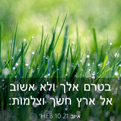 Picture 03 - איוב 10:21 HEB - בטרם אלך ולא אשוב אל ארץ - Bible Verse Picture