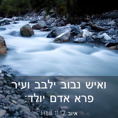 Picture 03 - איוב 11:12 HEB - ואיש נבוב ילבב ועיר פרא אדם - Bible Verse Picture