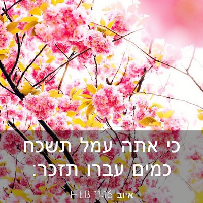 Picture 03 - איוב 11:16 HEB - כי אתה עמל תשכח כמים עברו - Bible Verse Picture
