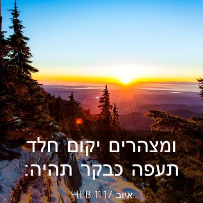 Picture 03 - איוב 11:17 HEB - ומצהרים יקום חלד תעפה כבקר - Bible Verse Picture