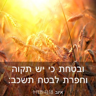 Picture 03 - איוב 11:18 HEB - ובטחת כי יש תקוה וחפרת לבטח - Bible Verse Picture