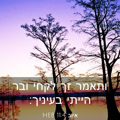 Picture 03 - איוב 11:4 HEB - ותאמר זך לקחי ובר הייתי - Bible Verse Picture