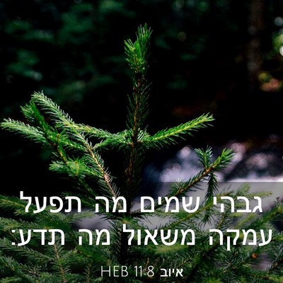 Picture 03 - איוב 11:8 HEB - גבהי שמים מה תפעל עמקה - Bible Verse Picture