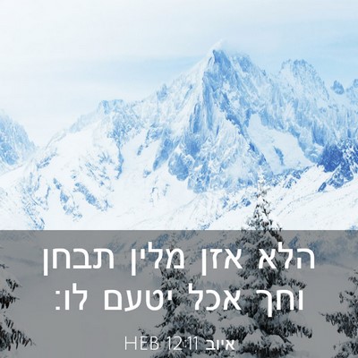 Picture 03 - איוב 12:11 HEB - הלא אזן מלין תבחן וחך אכל - Bible Verse Picture