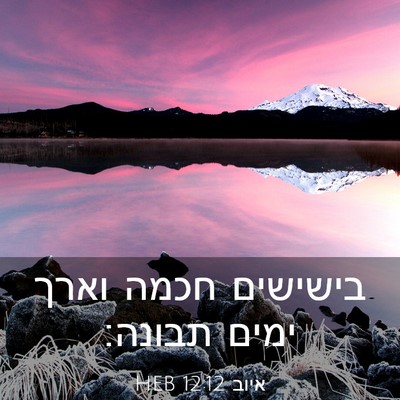 Picture 03 - איוב 12:12 HEB - בישישים חכמה וארך ימים - Bible Verse Picture