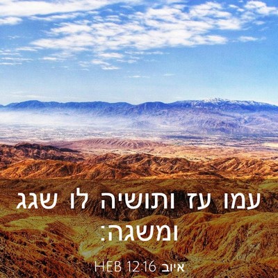 Picture 03 - איוב 12:16 HEB - עמו עז ותושיה לו שגג - Bible Verse Picture