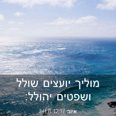 Picture 03 - איוב 12:17 HEB - מוליך יועצים שולל ושפטים - Bible Verse Picture