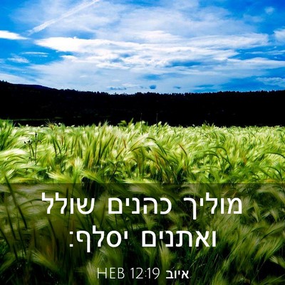 Picture 03 - איוב 12:19 HEB - מוליך כהנים שולל ואתנים - Bible Verse Picture