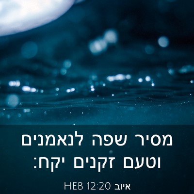 Picture 03 - איוב 12:20 HEB - מסיר שפה לנאמנים וטעם - Bible Verse Picture