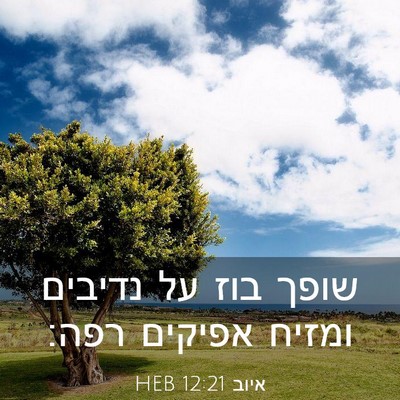 Picture 03 - איוב 12:21 HEB - שופך בוז על נדיבים ומזיח - Bible Verse Picture