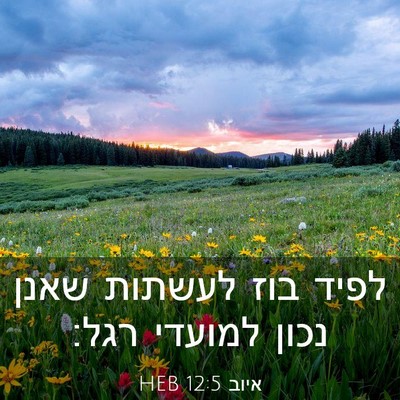 Picture 03 - איוב 12:5 HEB - לפיד בוז לעשתות שאנן נכון - Bible Verse Picture