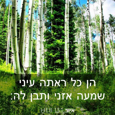 Picture 03 - איוב 13:1 HEB - הן כל ראתה עיני שמעה אזני - Bible Verse Picture