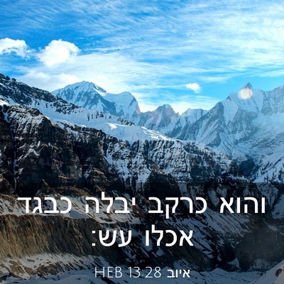 Picture 03 - איוב 13:28 HEB - והוא כרקב יבלה כבגד אכלו - Bible Verse Picture