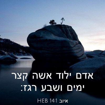 Picture 03 - איוב 14:1 HEB - אדם ילוד אשה קצר ימים ושבע - Bible Verse Picture
