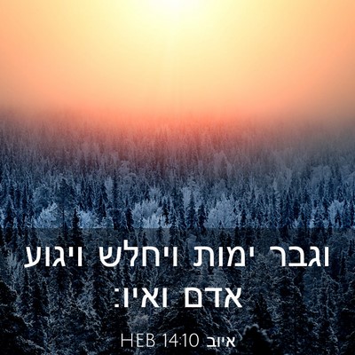 Picture 03 - איוב 14:10 HEB - וגבר ימות ויחלש ויגוע אדם - Bible Verse Picture