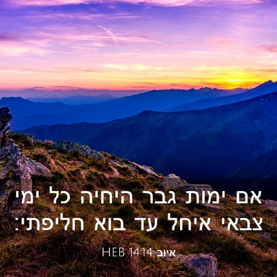 Picture 03 - איוב 14:14 HEB - אם ימות גבר היחיה כל ימי - Bible Verse Picture