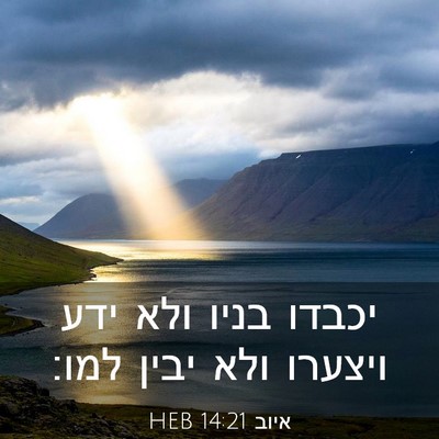Picture 03 - איוב 14:21 HEB - יכבדו בניו ולא ידע ויצערו - Bible Verse Picture