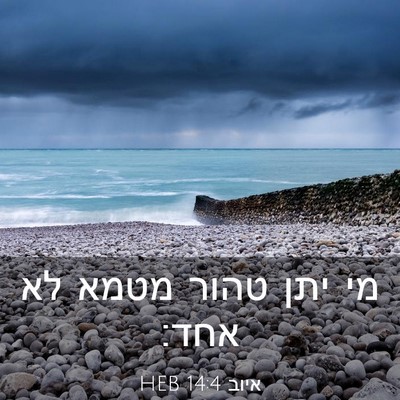 Picture 03 - איוב 14:4 HEB - מי יתן טהור מטמא לא - Bible Verse Picture