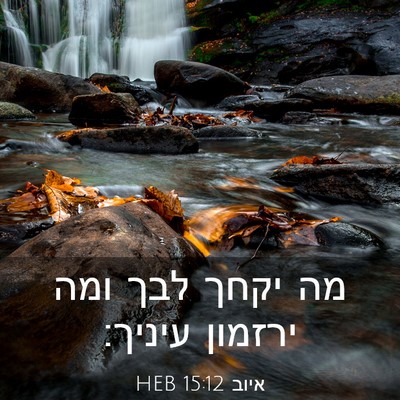 Picture 03 - איוב 15:12 HEB - מה יקחך לבך ומה ירזמון - Bible Verse Picture