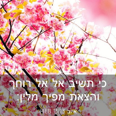 Picture 03 - איוב 15:13 HEB - כי תשיב אל אל רוחך והצאת - Bible Verse Picture