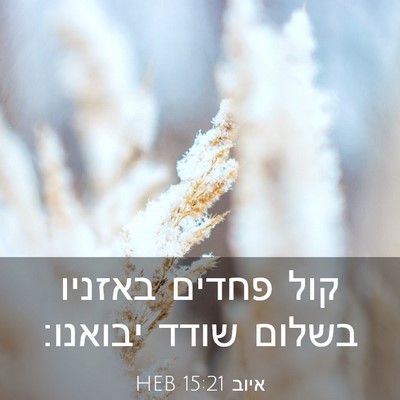 Picture 03 - איוב 15:21 HEB - קול פחדים באזניו בשלום - Bible Verse Picture