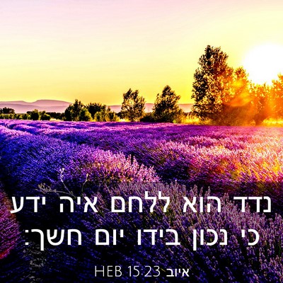 Picture 03 - איוב 15:23 HEB - נדד הוא ללחם איה ידע כי - Bible Verse Picture