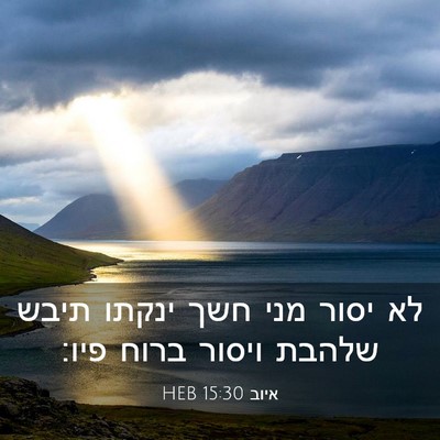 Picture 03 - איוב 15:30 HEB - לא יסור מני חשך ינקתו תיבש - Bible Verse Picture