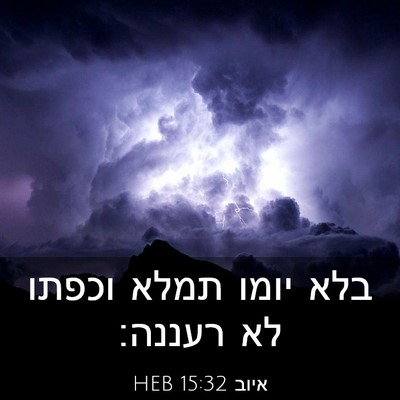 Picture 03 - איוב 15:32 HEB - בלא יומו תמלא וכפתו לא - Bible Verse Picture