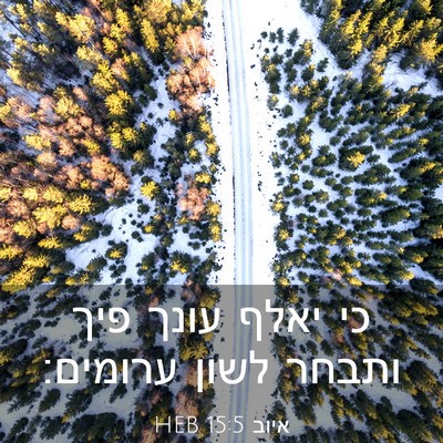 Picture 03 - איוב 15:5 HEB - כי יאלף עונך פיך ותבחר לשון - Bible Verse Picture