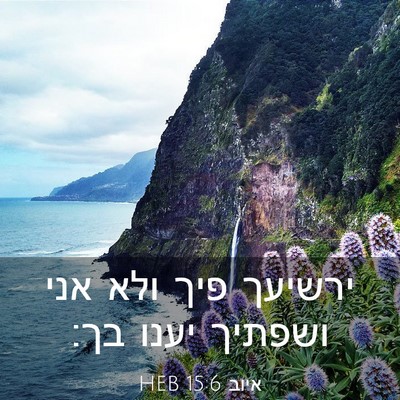 Picture 03 - איוב 15:6 HEB - ירשיעך פיך ולא אני ושפתיך - Bible Verse Picture