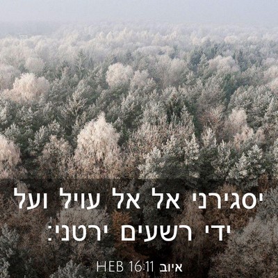 Picture 03 - איוב 16:11 HEB - יסגירני אל אל עויל ועל ידי - Bible Verse Picture