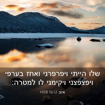 Picture 03 - איוב 16:12 HEB - שלו הייתי ויפרפרני ואחז - Bible Verse Picture