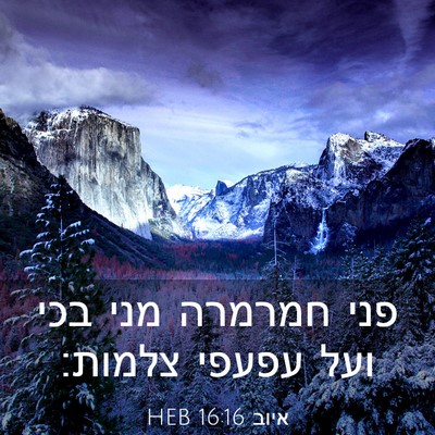 Picture 03 - איוב 16:16 HEB - פני חמרמרה מני בכי ועל - Bible Verse Picture