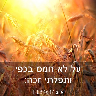 Picture 03 - איוב 16:17 HEB - על לא חמס בכפי ותפלתי - Bible Verse Picture