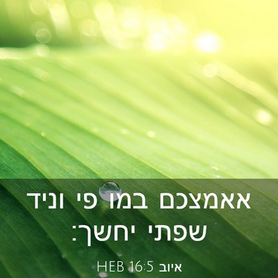 Picture 03 - איוב 16:5 HEB - אאמצכם במו פי וניד שפתי - Bible Verse Picture