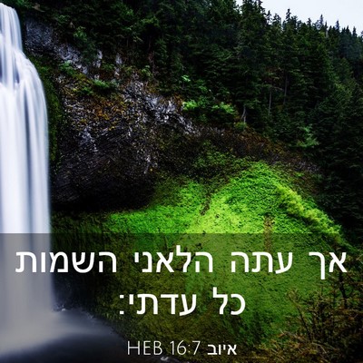 Picture 03 - איוב 16:7 HEB - אך עתה הלאני השמות כל - Bible Verse Picture
