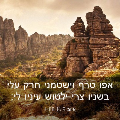 Picture 03 - איוב 16:9 HEB - אפו טרף וישטמני חרק עלי - Bible Verse Picture