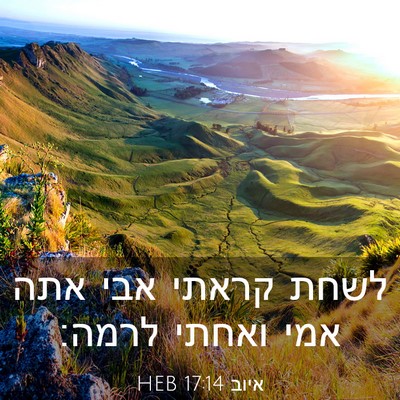 Picture 03 - איוב 17:14 HEB - לשחת קראתי אבי אתה אמי - Bible Verse Picture