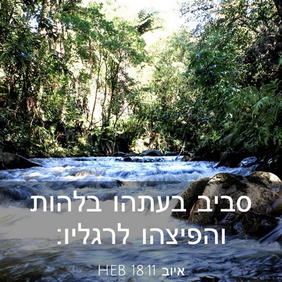 Picture 03 - איוב 18:11 HEB - סביב בעתהו בלהות והפיצהו - Bible Verse Picture