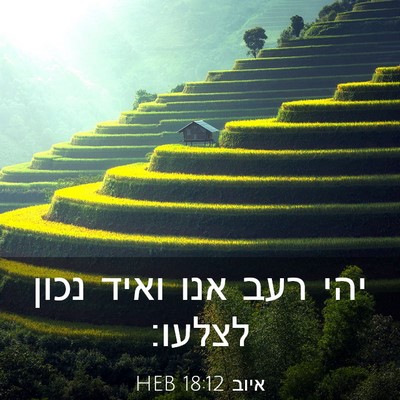 Picture 03 - איוב 18:12 HEB - יהי רעב אנו ואיד נכון - Bible Verse Picture