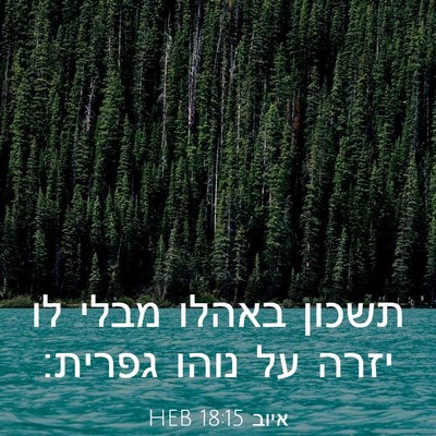 Picture 03 - איוב 18:15 HEB - תשכון באהלו מבלי לו יזרה על - Bible Verse Picture