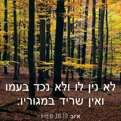 Picture 03 - איוב 18:19 HEB - לא נין לו ולא נכד בעמו ואין - Bible Verse Picture