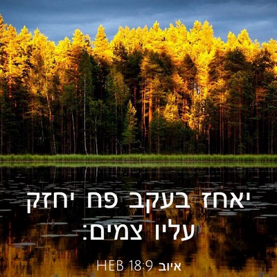 Picture 03 - איוב 18:9 HEB - יאחז בעקב פח יחזק עליו - Bible Verse Picture