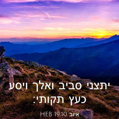 Picture 03 - איוב 19:10 HEB - יתצני סביב ואלך ויסע כעץ - Bible Verse Picture