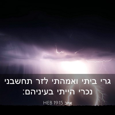 Picture 03 - איוב 19:15 HEB - גרי ביתי ואמהתי לזר תחשבני - Bible Verse Picture