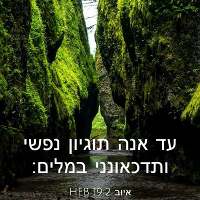 Picture 03 - איוב 19:2 HEB - עד אנה תוגיון נפשי - Bible Verse Picture