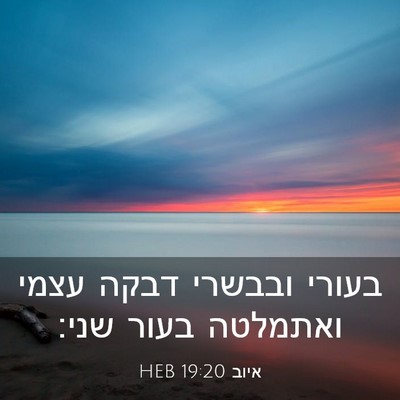 Picture 03 - איוב 19:20 HEB - בעורי ובבשרי דבקה עצמי - Bible Verse Picture