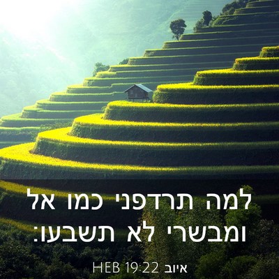 Picture 03 - איוב 19:22 HEB - למה תרדפני כמו אל ומבשרי לא - Bible Verse Picture