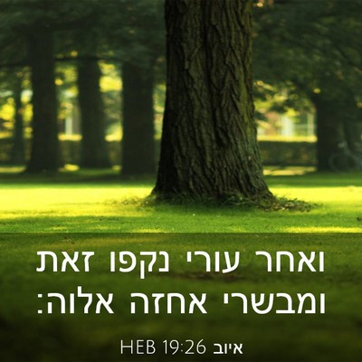 Picture 03 - איוב 19:26 HEB - ואחר עורי נקפו זאת ומבשרי - Bible Verse Picture